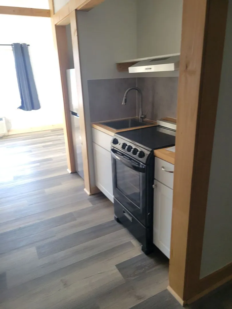 One Bedroom Apartment - One bed, all the benefits. All Utilities & Internet included. - Photo 2