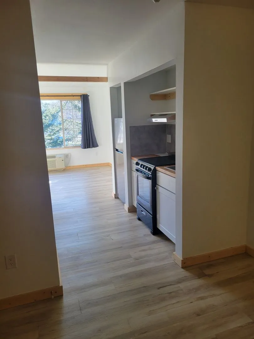 One Bedroom Apartment with Washer & Dryer - Steamboat living, Simplified! All Utilities & Internet Included.  - Photo 3
