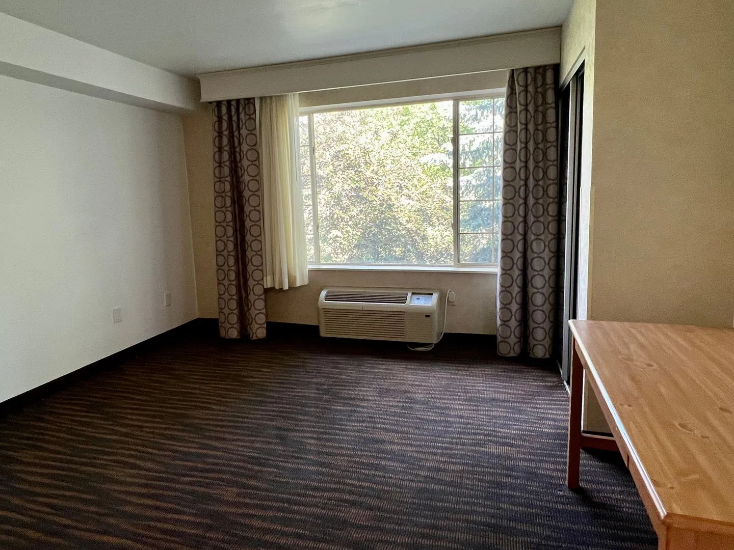 Open 1 Bedroom Apartments - All Utilities + Internet Included - Photo 3