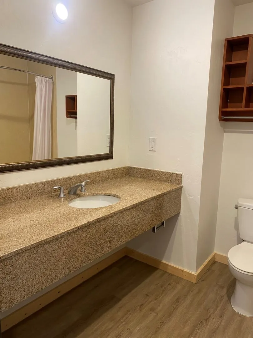 Large Studio Apartment - Stretch out, Settle in! All Utilities & Internet Included. - Photo 3