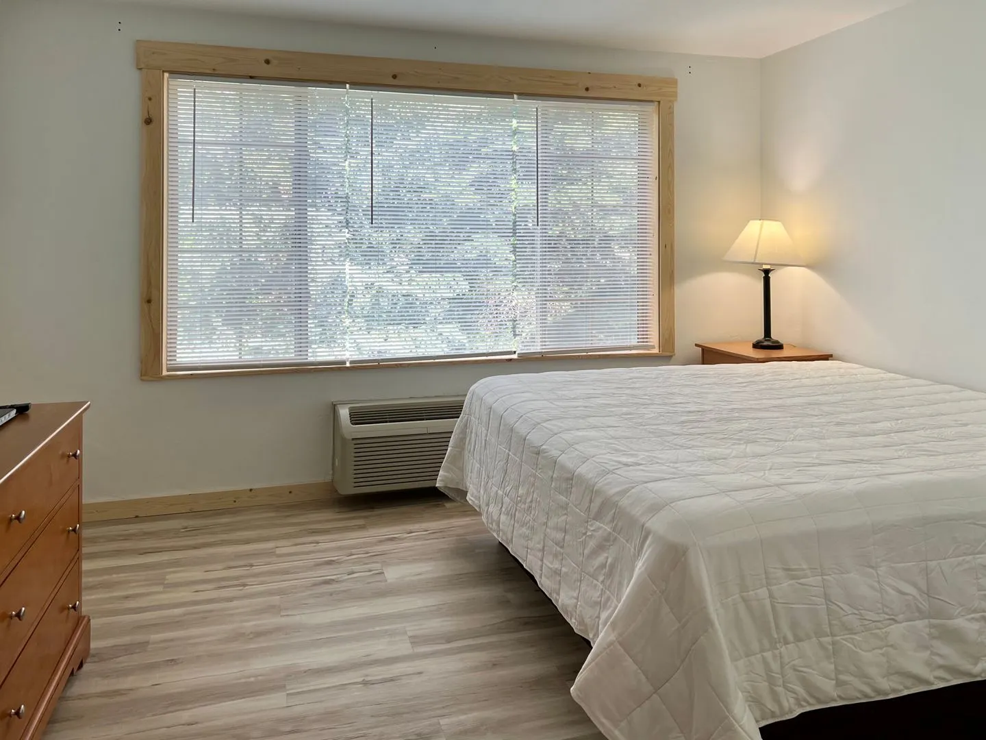 One Bedroom Apartment - One bed, all the benefits. All Utilities & Internet included.