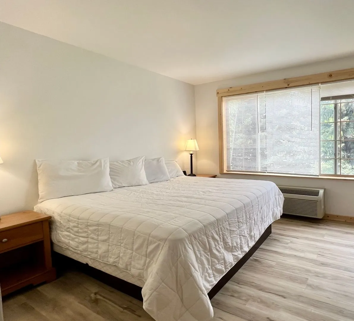 One Bedroom Apartment - One bed, all the benefits. All Utilities & Internet included.