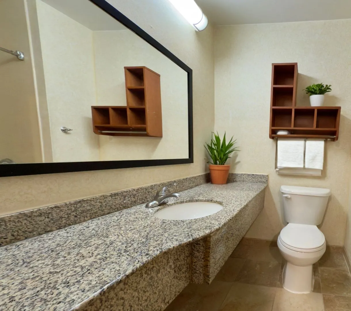 One Bedroom Apartment - One bed, all the benefits. All Utilities & Internet included. - Photo 3
