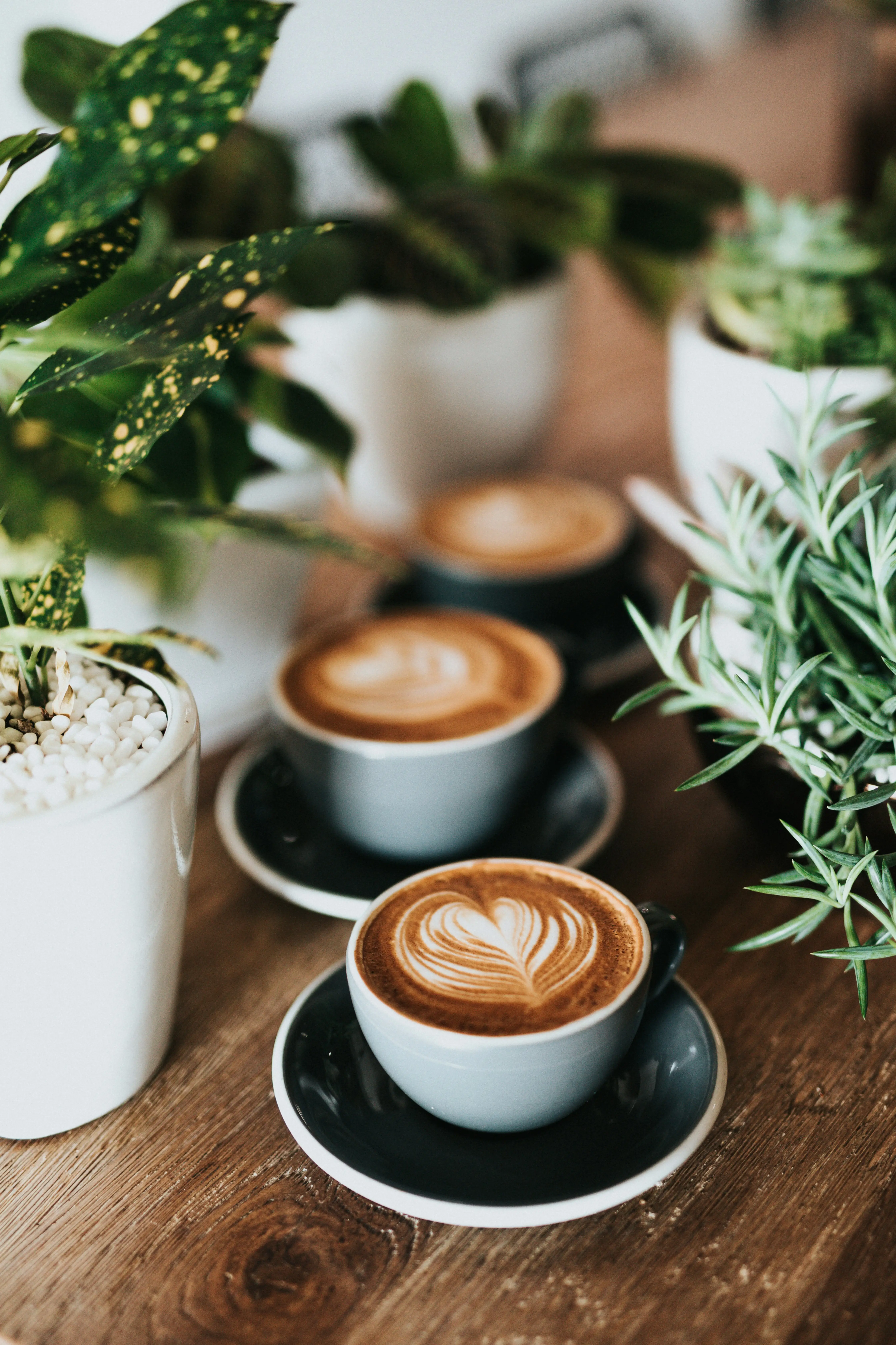 Dining & Coffee